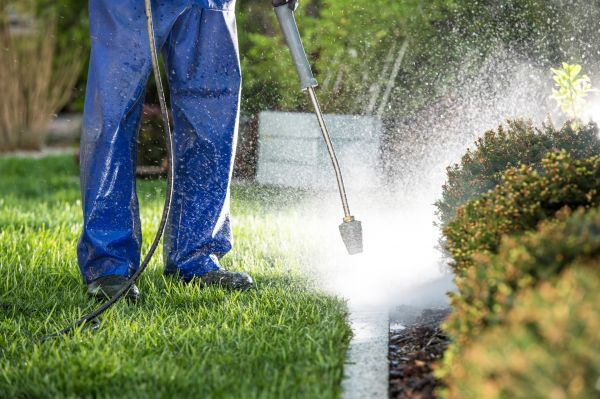 Curb Cleaning in Annapolis