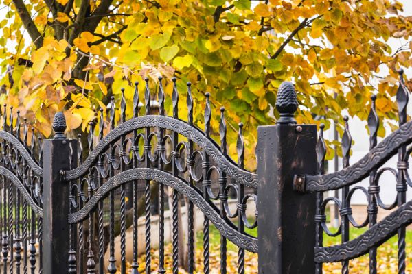 Wrought Iron Fence Washing in Annapolis