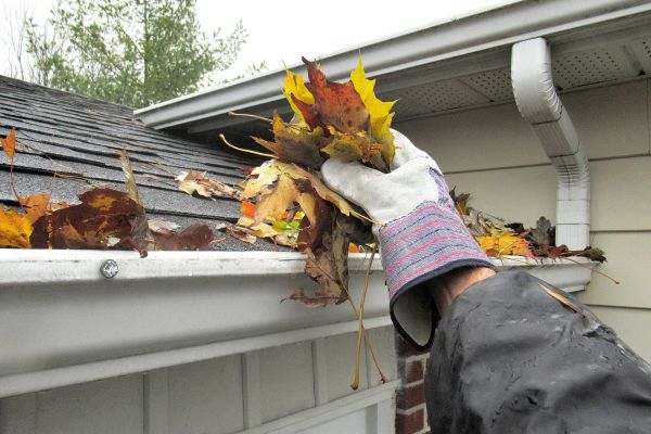 Eaves Cleaning in Annapolis