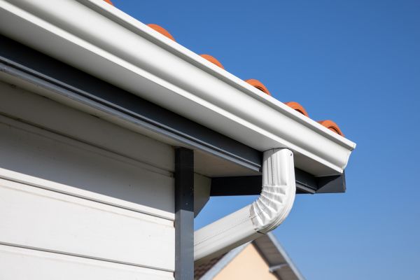 Roofline Cleaning in Annapolis