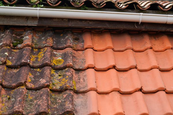 Industrial Roof Cleaning in Annapolis